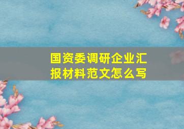 国资委调研企业汇报材料范文怎么写