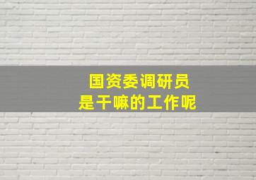 国资委调研员是干嘛的工作呢