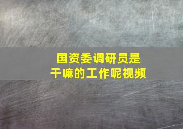 国资委调研员是干嘛的工作呢视频