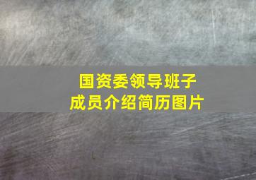 国资委领导班子成员介绍简历图片