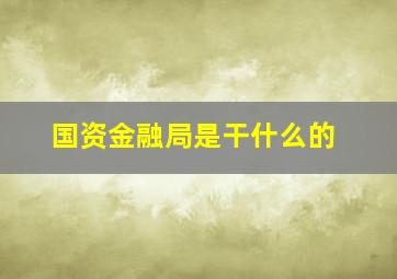 国资金融局是干什么的