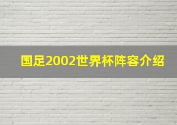 国足2002世界杯阵容介绍