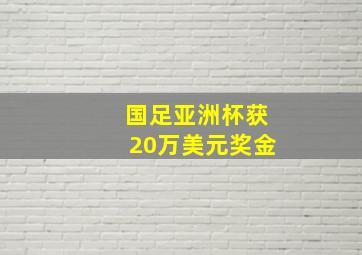 国足亚洲杯获20万美元奖金