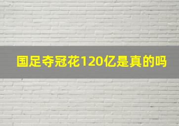 国足夺冠花120亿是真的吗