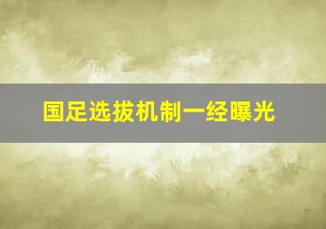 国足选拔机制一经曝光