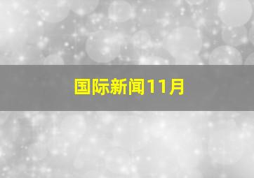 国际新闻11月