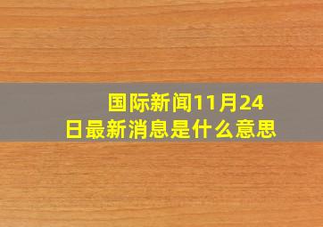 国际新闻11月24日最新消息是什么意思