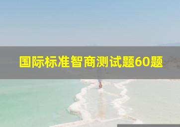 国际标准智商测试题60题