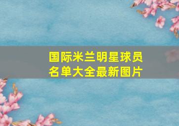 国际米兰明星球员名单大全最新图片