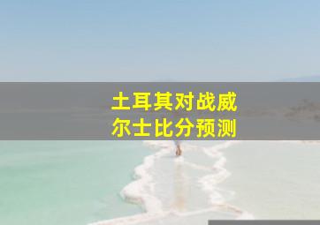 土耳其对战威尔士比分预测