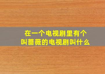 在一个电视剧里有个叫蔷薇的电视剧叫什么