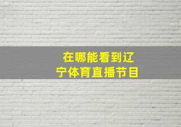 在哪能看到辽宁体育直播节目