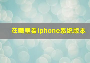 在哪里看iphone系统版本