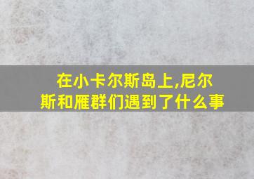 在小卡尔斯岛上,尼尔斯和雁群们遇到了什么事