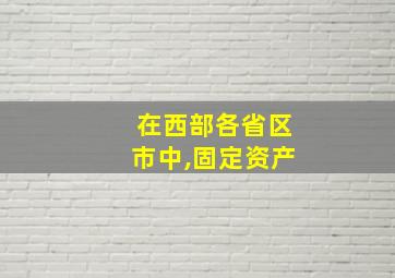 在西部各省区市中,固定资产