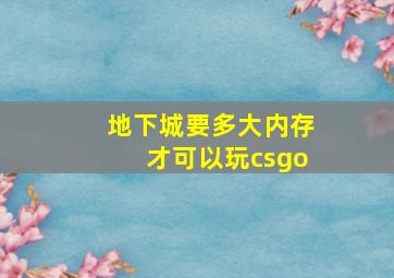 地下城要多大内存才可以玩csgo