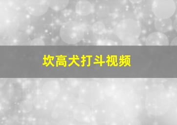 坎高犬打斗视频