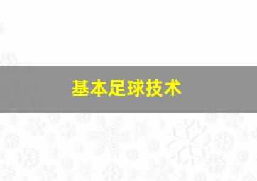 基本足球技术