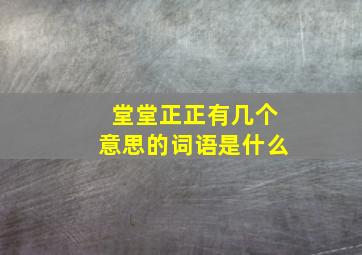 堂堂正正有几个意思的词语是什么