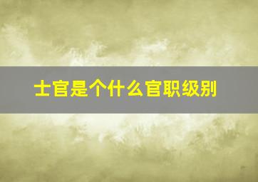 士官是个什么官职级别