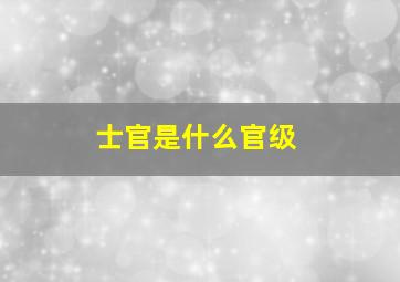 士官是什么官级