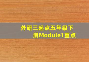 外研三起点五年级下册Module1重点