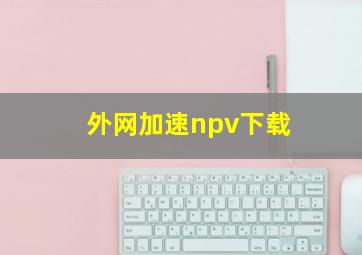 外网加速npv下载