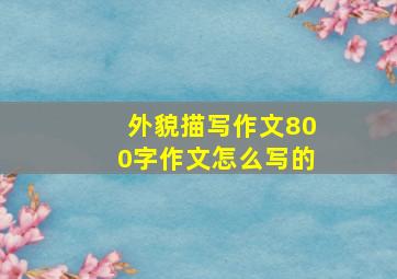 外貌描写作文800字作文怎么写的