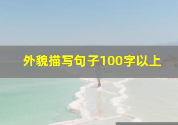 外貌描写句子100字以上