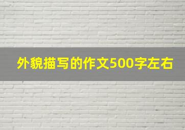 外貌描写的作文500字左右