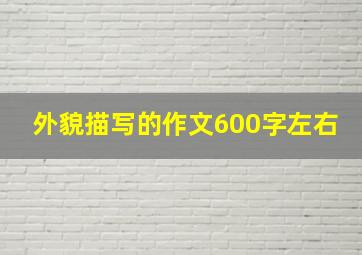 外貌描写的作文600字左右