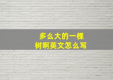 多么大的一棵树啊英文怎么写