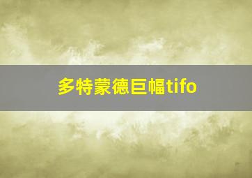 多特蒙德巨幅tifo