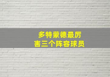 多特蒙德最厉害三个阵容球员