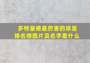 多特蒙德最厉害的球星排名榜图片及名字是什么