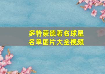 多特蒙德著名球星名单图片大全视频