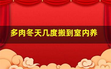 多肉冬天几度搬到室内养