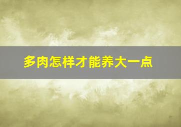 多肉怎样才能养大一点