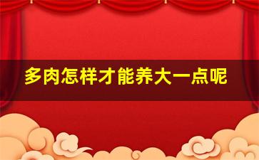 多肉怎样才能养大一点呢