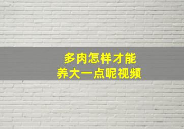 多肉怎样才能养大一点呢视频