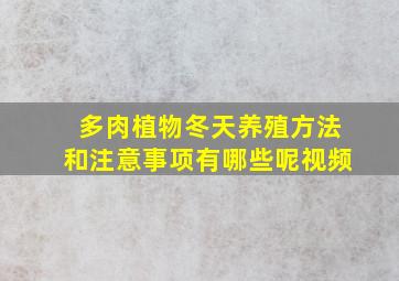 多肉植物冬天养殖方法和注意事项有哪些呢视频