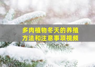 多肉植物冬天的养殖方法和注意事项视频