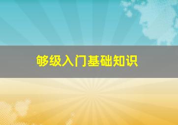 够级入门基础知识