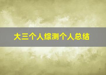 大三个人综测个人总结