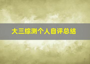 大三综测个人自评总结