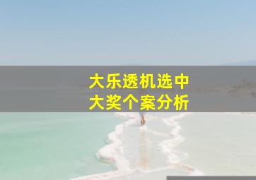 大乐透机选中大奖个案分析