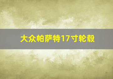 大众帕萨特17寸轮毂