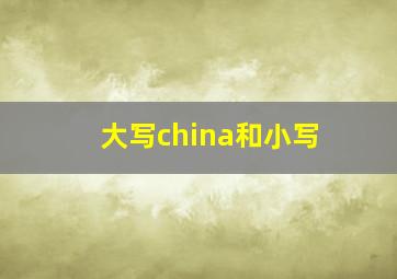 大写china和小写