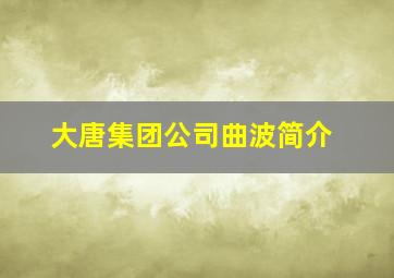 大唐集团公司曲波简介