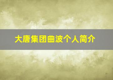 大唐集团曲波个人简介